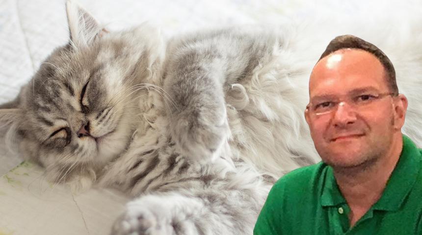 Ölüm nedeni 'kedi tüyü' denilmişti! Gerçek bambaşka çıktı