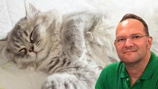 Ölüm nedeni 'kedi tüyü' denilmişti! Gerçek bambaşka çıktı