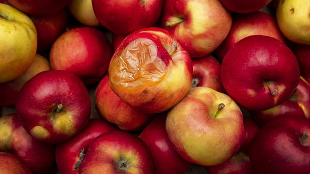 Meyveler neden çürür? Meyvelerin çürümesinin sebebi nedir?