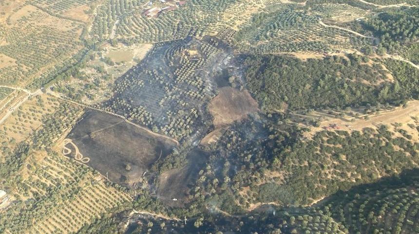 Aydın’daki yangın büyümeden kontrol altına alındı
