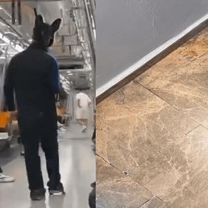Tavşan kostümüyle metro binen kişinin ifadesi ortaya çıktı! Bir kişi daha görüntülendi; Elinde tüfek değil eldiven vardı