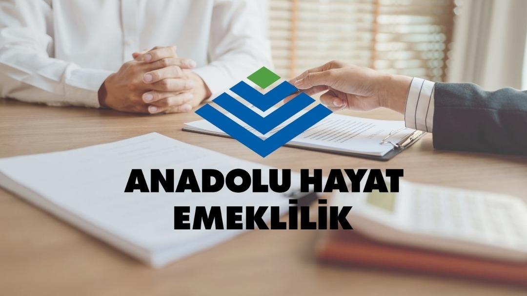 Anadolu Hayat Emeklilik’te istikrarlı büyüme: Yüzde 48’e yakın arttı 2