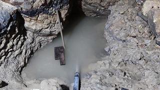 Dünyada tek ve Türkiye'de! Yurt dışından akın akın geliyorlar...