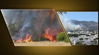 Bursa ve Bodrum'da orman yangını! Ekipler bölgede