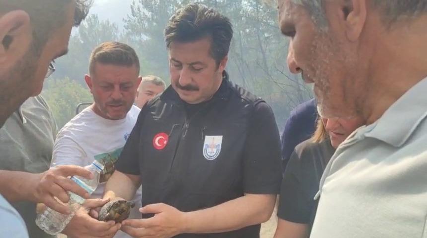 Yenişehir Belediye Başkanı Özel, yangından etkilenen kaplumbağaya suyla müdahale etti