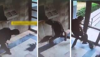 Vicdansızlık! Kediyi yerden yere vurdu, kafasını ezdi...