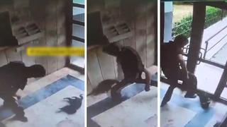 Vicdansızlığın bu kadarı! Kediyi yerden yere vurdu, tekmeledi, kafasını ezdi... Can çekişmesini böyle izledi