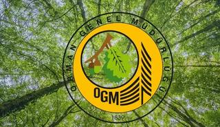 'Yangın yönetim uçağı OTAĞ'ın kullanılmadığı' iddiası! OGM'den açıklama