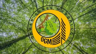 'Yangın yönetim uçağı OTAĞ'ın kullanılmadığı' iddiası! OGM'den açıklama