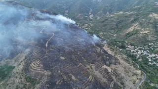Tekirdağ'daki orman yangınını söndürme çalışmaları sürüyor