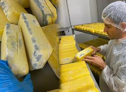 Sakarya'da bir süt işletmesinde skandal görüntüler: 1.5 ton küflenmiş ve bozulmuş süt ürünü ele geçirildi...