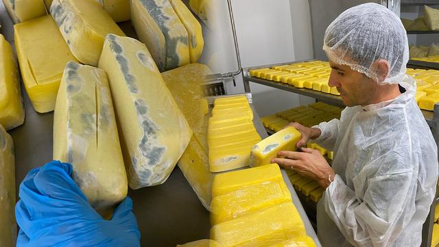 Sakarya'da bir süt işletmesinde skandal görüntüler: 1.5 ton küflenmiş ve bozulmuş süt ürünü ele geçirildi...