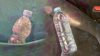 Sıcaklarda arabada unutulan su, sessiz bir tehdit! Serinlemek isterken hasta olmayın: Plastik şişeler kimyasal bir tehlike olabilir mi?