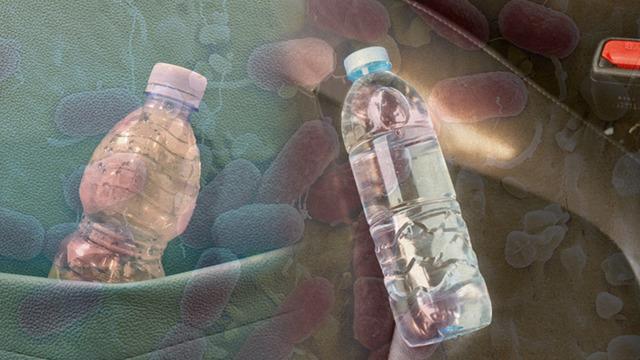 Sıcaklarda arabada unutulan su, sessiz bir tehdit! Serinlemek isterken hasta olmayın: Plastik şişeler kimyasal bir tehlike olabilir mi?