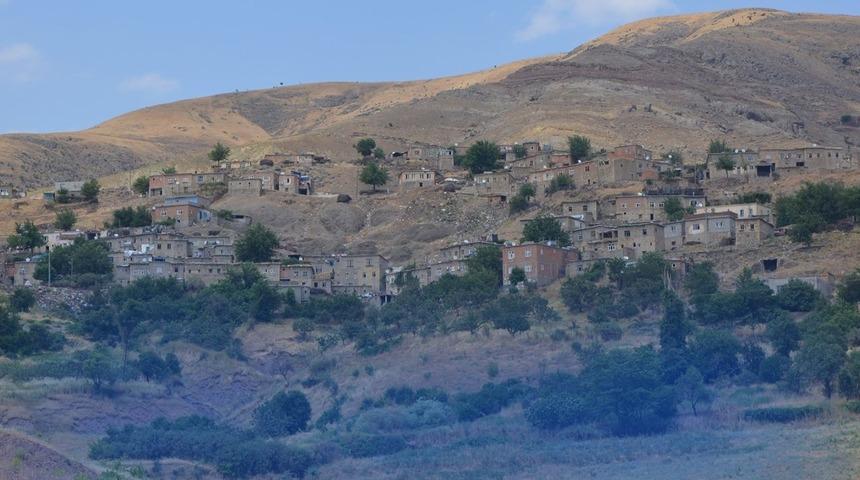 Köylüler isyanda! Evlerinin altında binlercesi var! "Baş edemiyoruz yardım edin"