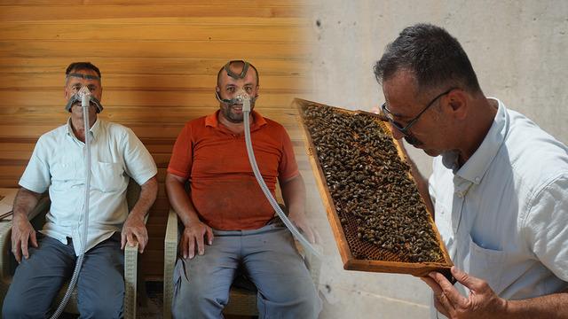 Arılar yeni şifa kaynağı! ABD ve Japonya gibi ülkelerde yaygın olan yöntem artık Türkiye'de: Arı kovanı havası şifasının faydaları saymakla bitmez...