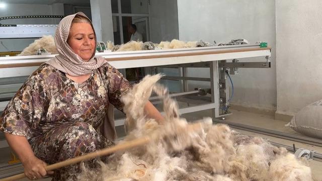 Suruç'un ilk ve tek girişimci kadını! Çöpten topladığı yünlerle iş kurdu: Makine ile yünden yorgan yapıyoruz 