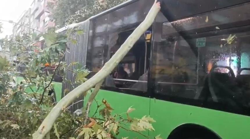 Üzerine ağaç devrilen belediye otobüsünde can pazarı