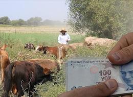 Evde oturan gençlere ev sahibi olma fırsatı! Köyüne dönüp çiftçi olana fırsatlar bitmiyor...