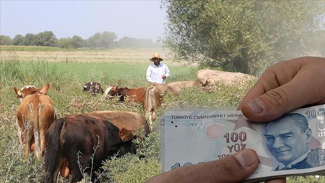 Evde oturan gençlere ev sahibi olma fırsatı! Köyüne dönüp çiftçi olana fırsatlar bitmiyor...