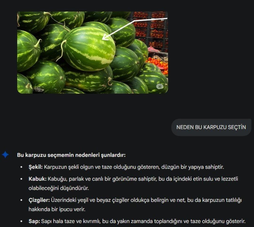 Yapay zekaya böyle meydan okudular! Sosyal medya bunu konuşuyor:  İlla elleyecen, tıpıldayacan  1