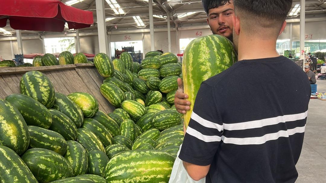 Yapay zekaya böyle meydan okudular! Sosyal medya bunu konuşuyor:  İlla elleyecen, tıpıldayacan  2