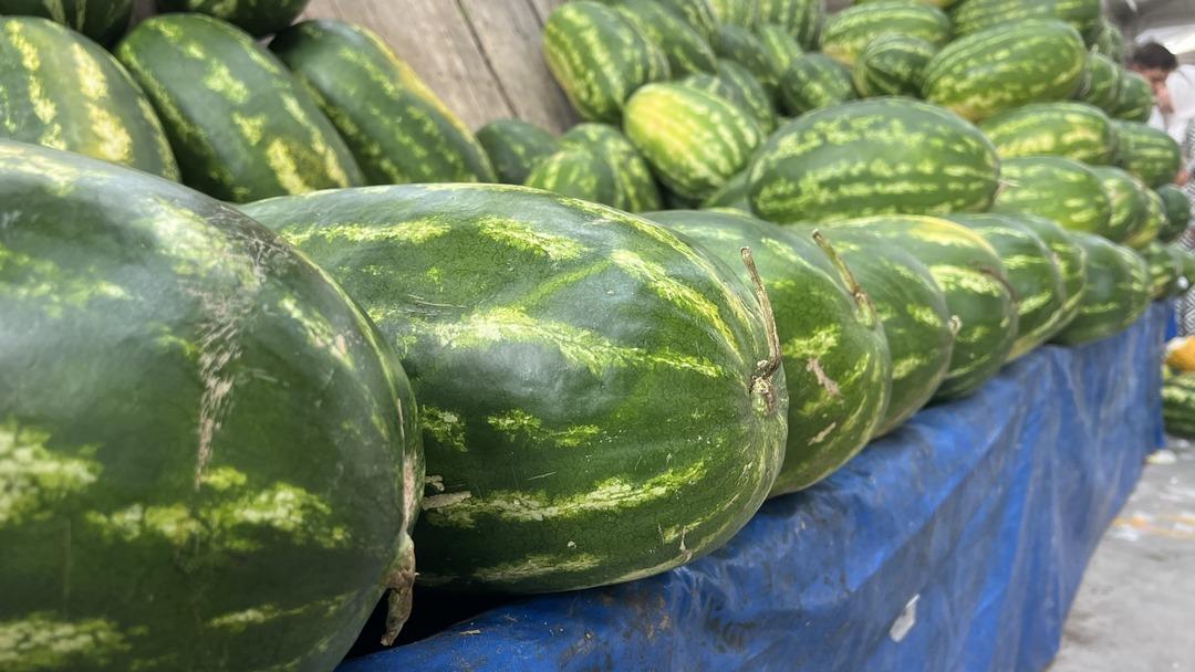Yapay zekaya böyle meydan okudular! Sosyal medya bunu konuşuyor:  İlla elleyecen, tıpıldayacan  6