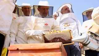 Bakan Yumaklı, AB tescilli Bingöl balının ilk sağımını yaptı: Bal üretiminde dünyada 2’nciyiz