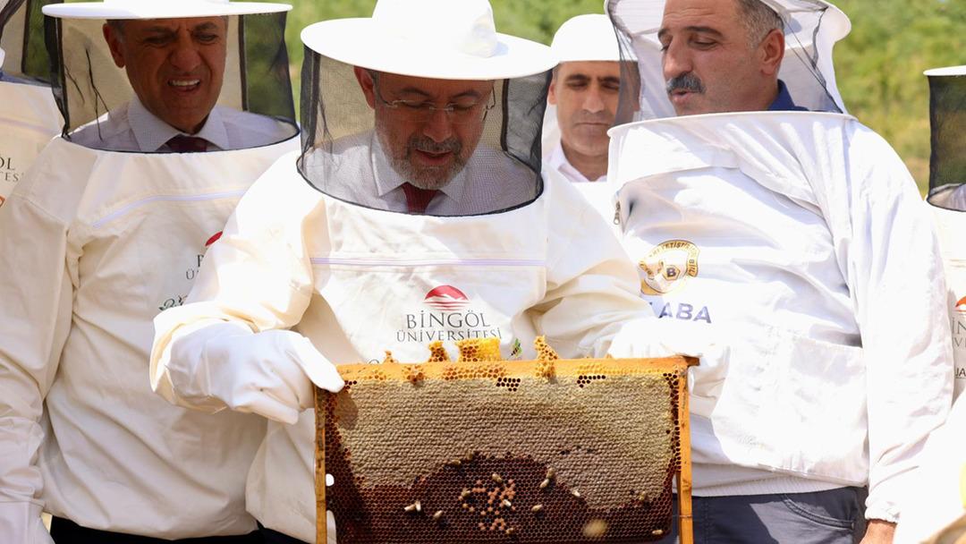 Bakan Yumaklı, AB tescilli Bingöl balının ilk sağımını yaptı: "Bal üretiminde dünyada 2’nciyiz" 1