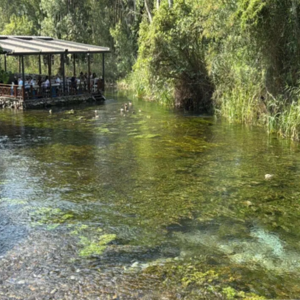 Yer: Muğla! NASA bile kıskanmıştı... Gözlerimizin önünde kaybolan bir doğa harikası