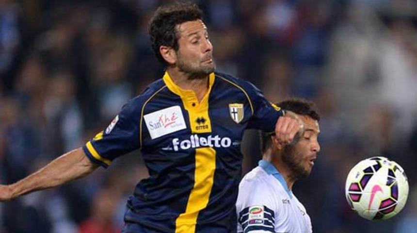 Parma k&uuml;me d&uuml;şt&uuml;