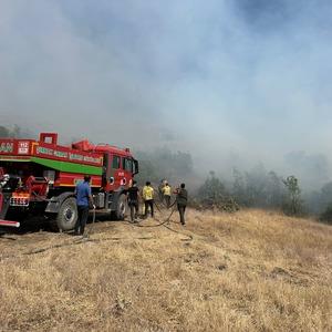 Şırnak'ta orman ve örtü yangını kontrol altına alındı