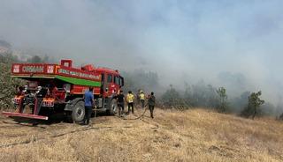 Şırnak'ta orman ve örtü yangını kontrol altına alındı