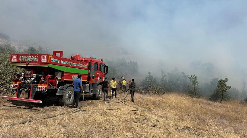Şırnak'ta orman ve örtü yangını kontrol altına alındı