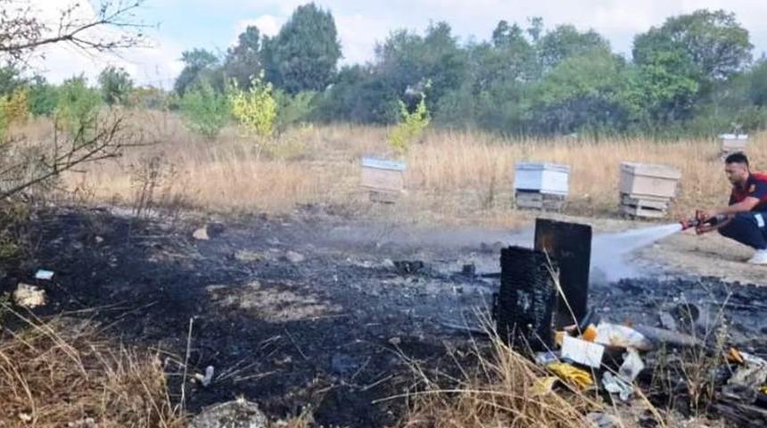  Kütahya’da arazi yangını! 7 arı kovanı kül oldu