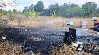  Kütahya’da arazi yangını! 7 arı kovanı kül oldu