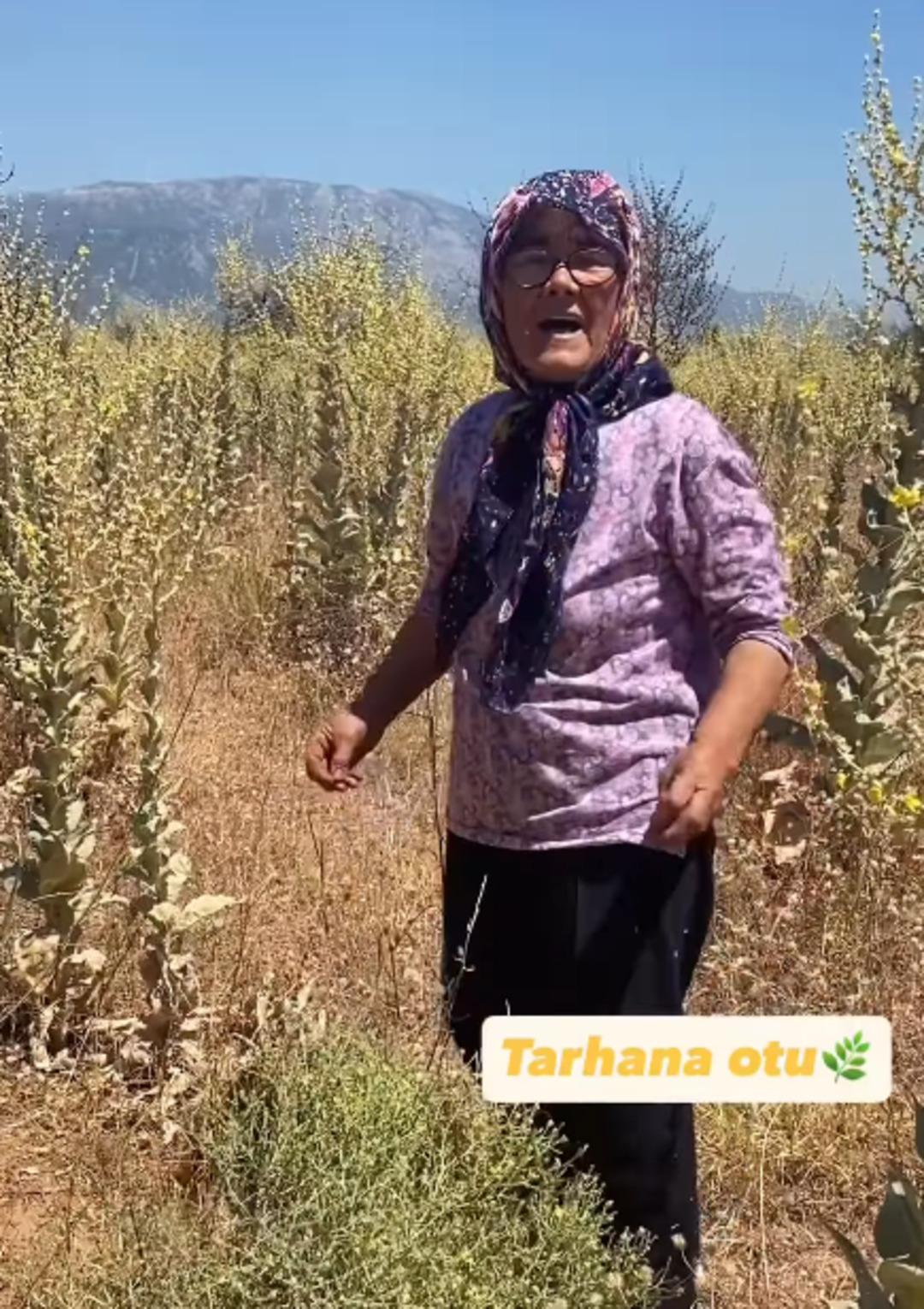 Ekran görüntüsü 2025-08-04 082642 Ekran görüntüsü 2025-08-04 082642