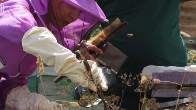 Kilosu 6 bin TL! Çeyrek altın fiyatı ile yarışıyor