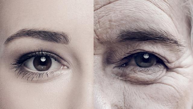 “Neden bir anda yaşlandım?” sorusunun bilimsel cevabı bulundu: 34, 60 ve 78’de büyük sıçrama! Sağlıklı yaşlanmak mümkün mü?
