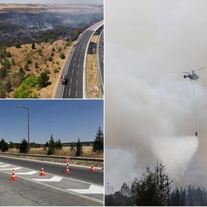 Kırklareli'nde ağaçlık alanda yangın! Avrupa Otoyolu trafiğe kapatıldı