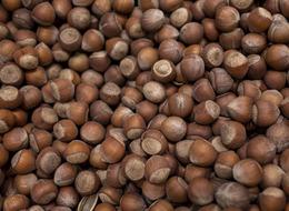 Türkiye fındık ihracatından 11 ayda 2,4 milyar doları aşkın gelir sağladı