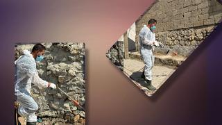 Bir köyü istila ettiler! Ekipler teyakkuza geçti: 'Halk sağlığı açısından riskli...'