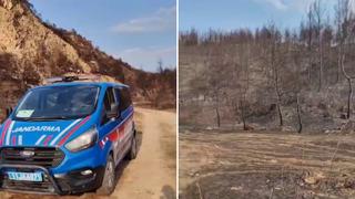 Sakarya'da feci olay! Yanan ormanda erkek cesedi bulundu