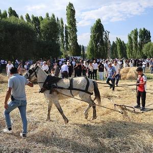 Son Dakika Haber Görseli