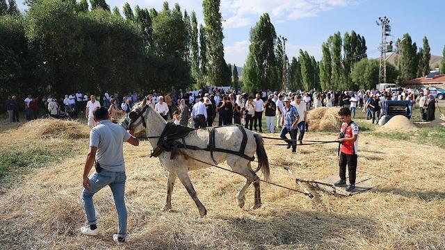 Bayburt'ta 6. Harman Festivali başladı