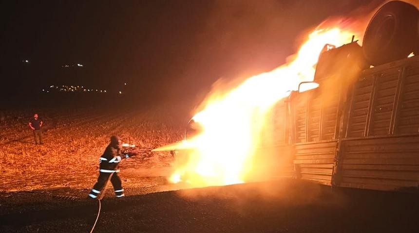 Mardin'de devrilip alev alan tırın sürücüsü hayatını kaybetti