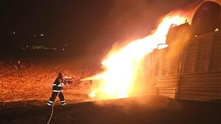 Mardin'de devrilip alev alan tırın sürücüsü hayatını kaybetti