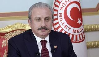 Mustafa Şentop'tan sert tepki: 'Gazeteci diye ortada dolaşıyorlar'