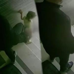 Vicdansızlığın bu kadarı! 3 yaşındaki kızına tekme atıp merdivenlerden düşürdü: İstenen ceza belli oldu!