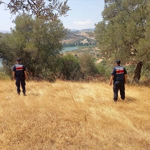 Aydın’da ormanlar jandarma gözetiminde